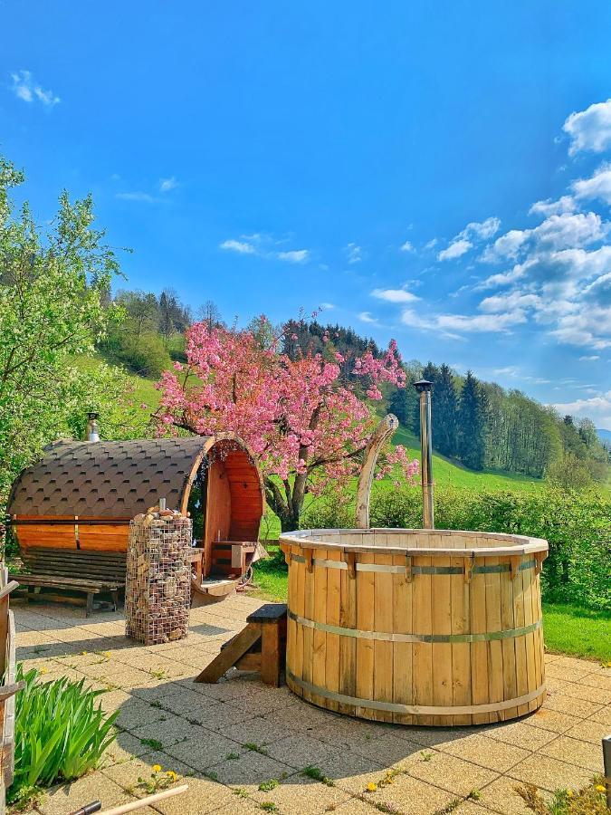 Hotel Garni Wieshof Kirchberg en Tyrol Extérieur photo
