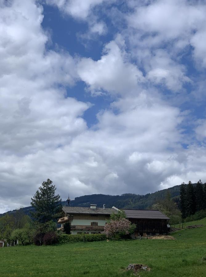 Hotel Garni Wieshof Kirchberg en Tyrol Extérieur photo